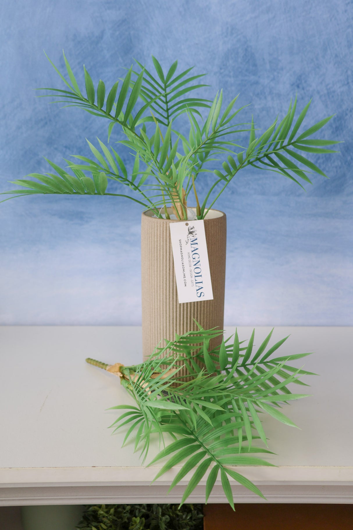 Carpe Diem Palm Bush
