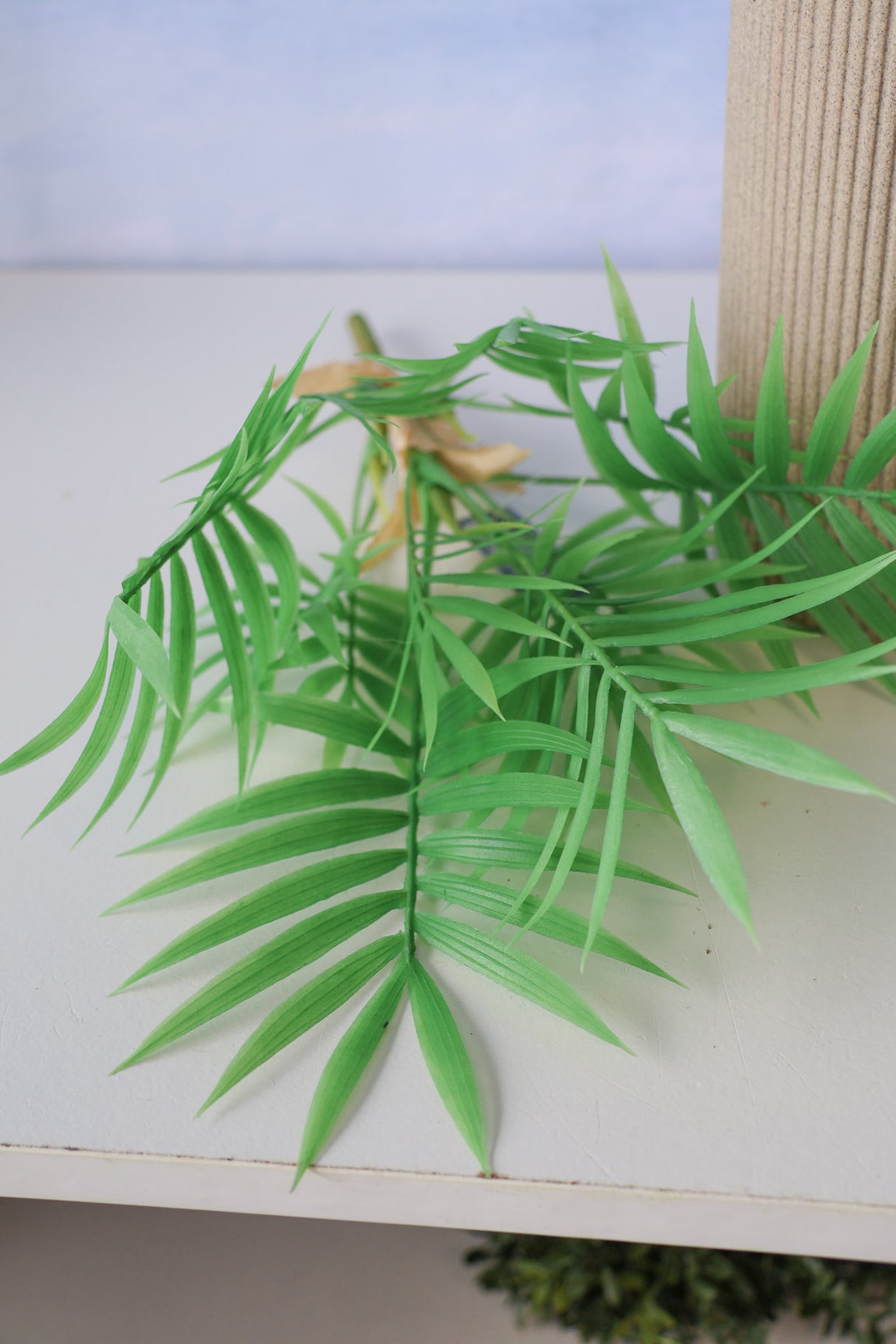 Carpe Diem Palm Bush