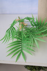 Carpe Diem Palm Bush