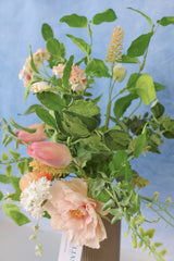 Posh Peony Bush