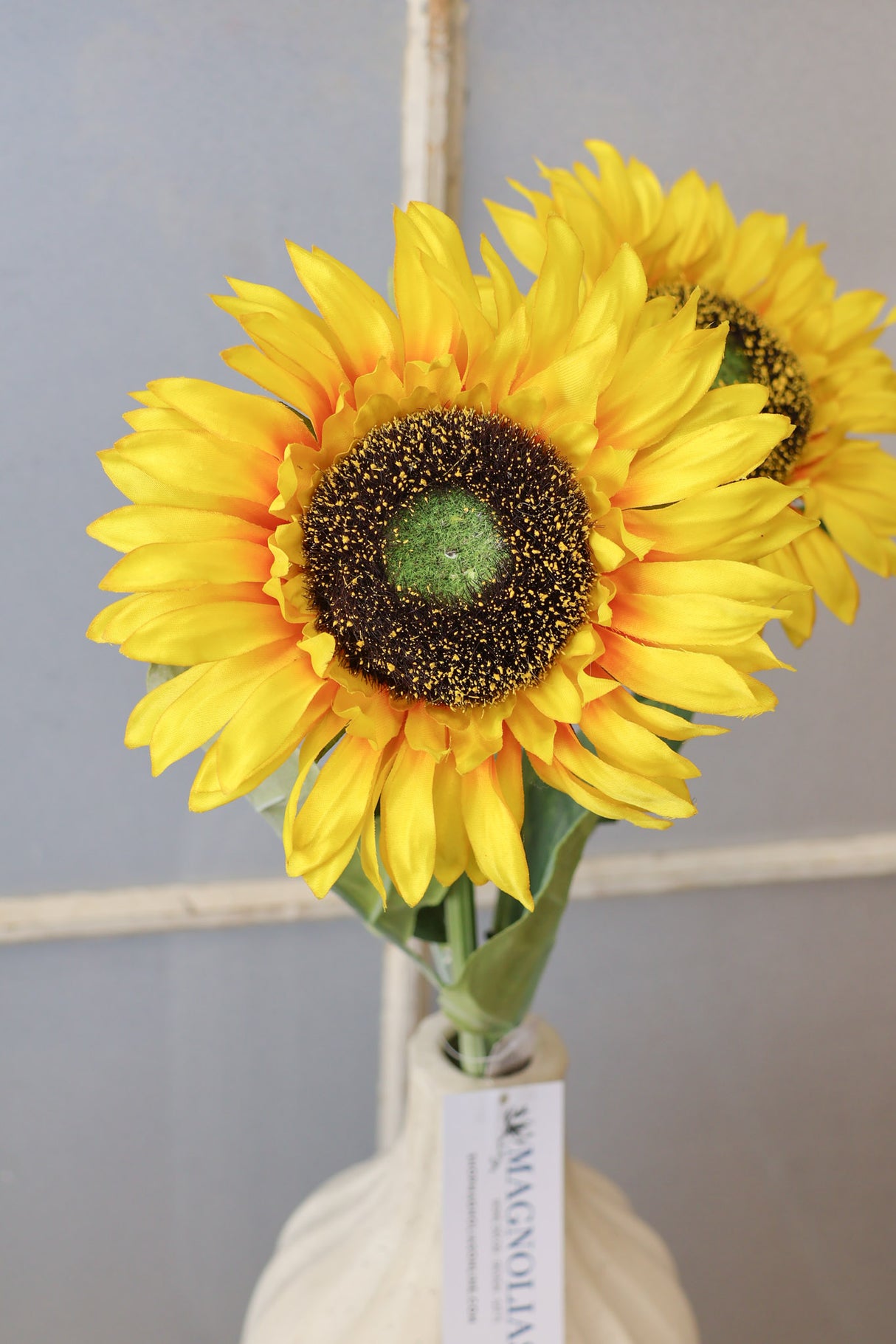 Sunshine Sunflower Stem