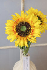 Sunshine Sunflower Stem