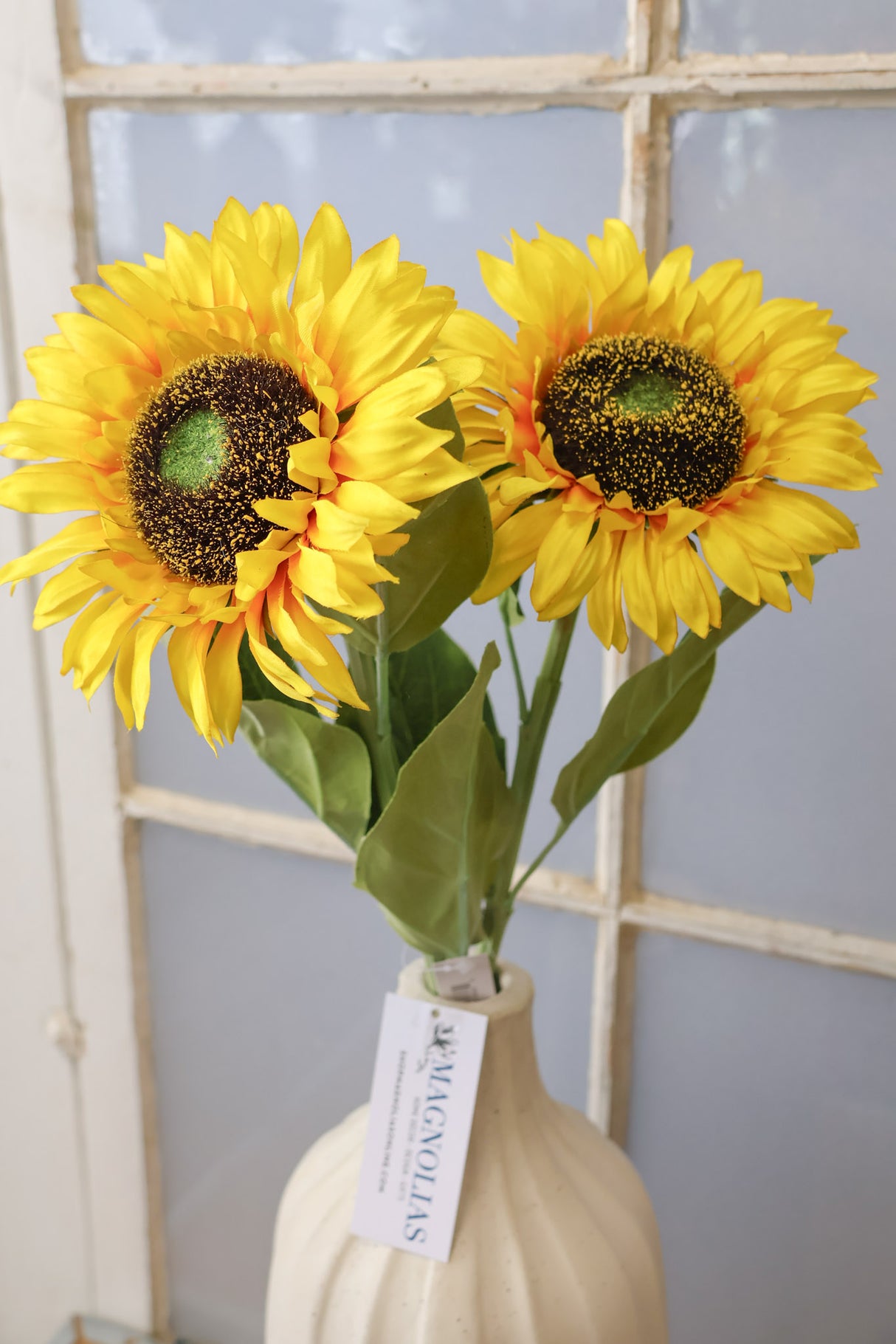 Sunshine Sunflower Stem