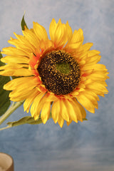 Sunshine Sunflower Stem