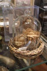 Willow & Glass Cloche