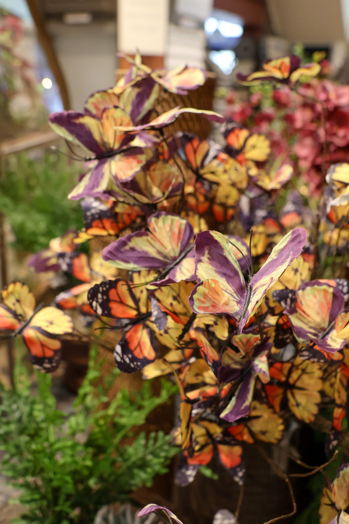 Monarch Butterfly Stem