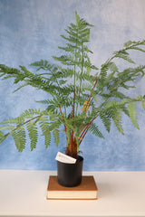 33" Potted Fern