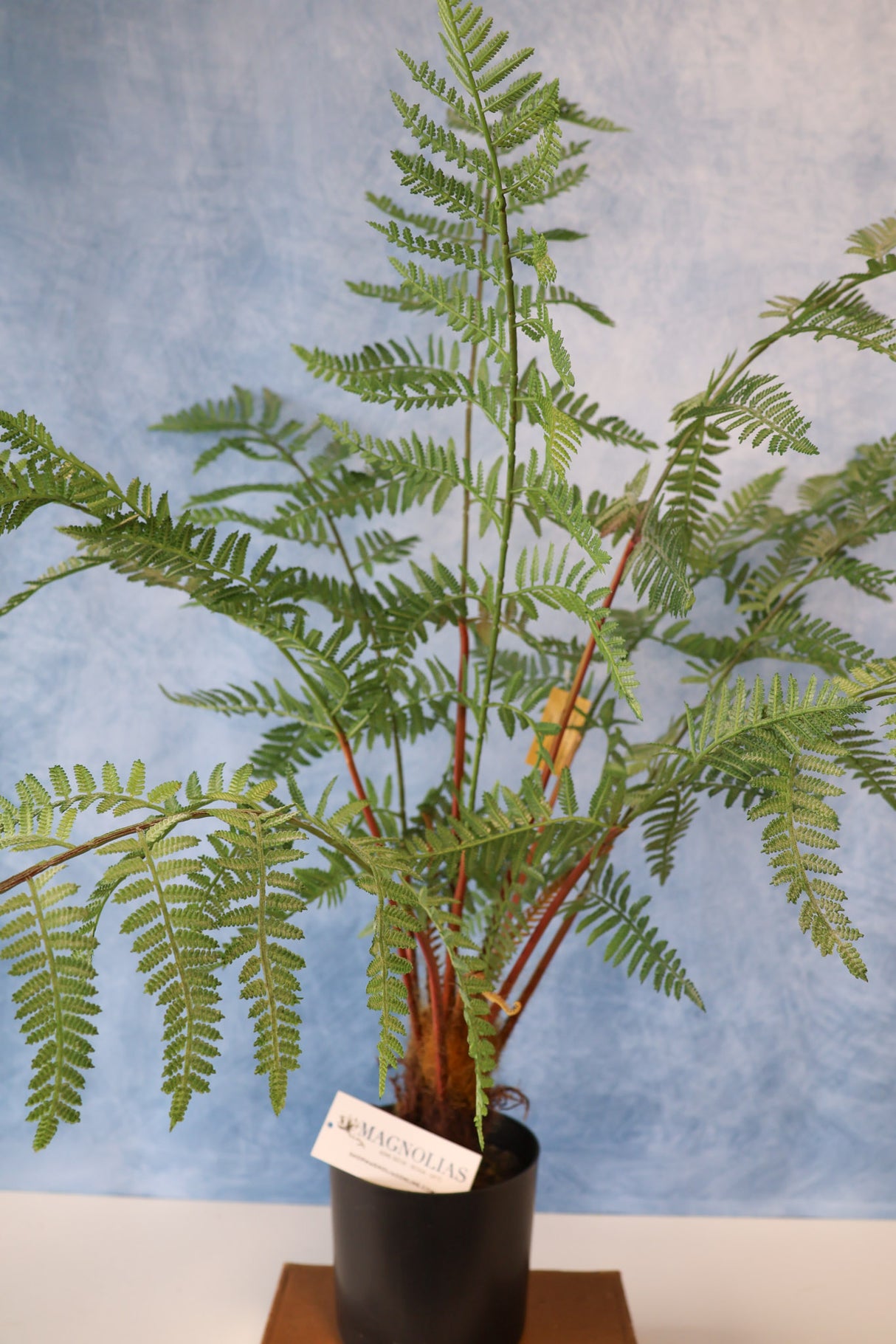 33" Potted Fern