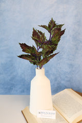 Hilo Purple Coleus Pick