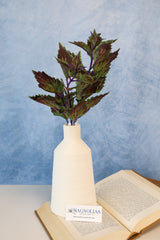 Hilo Purple Coleus Pick