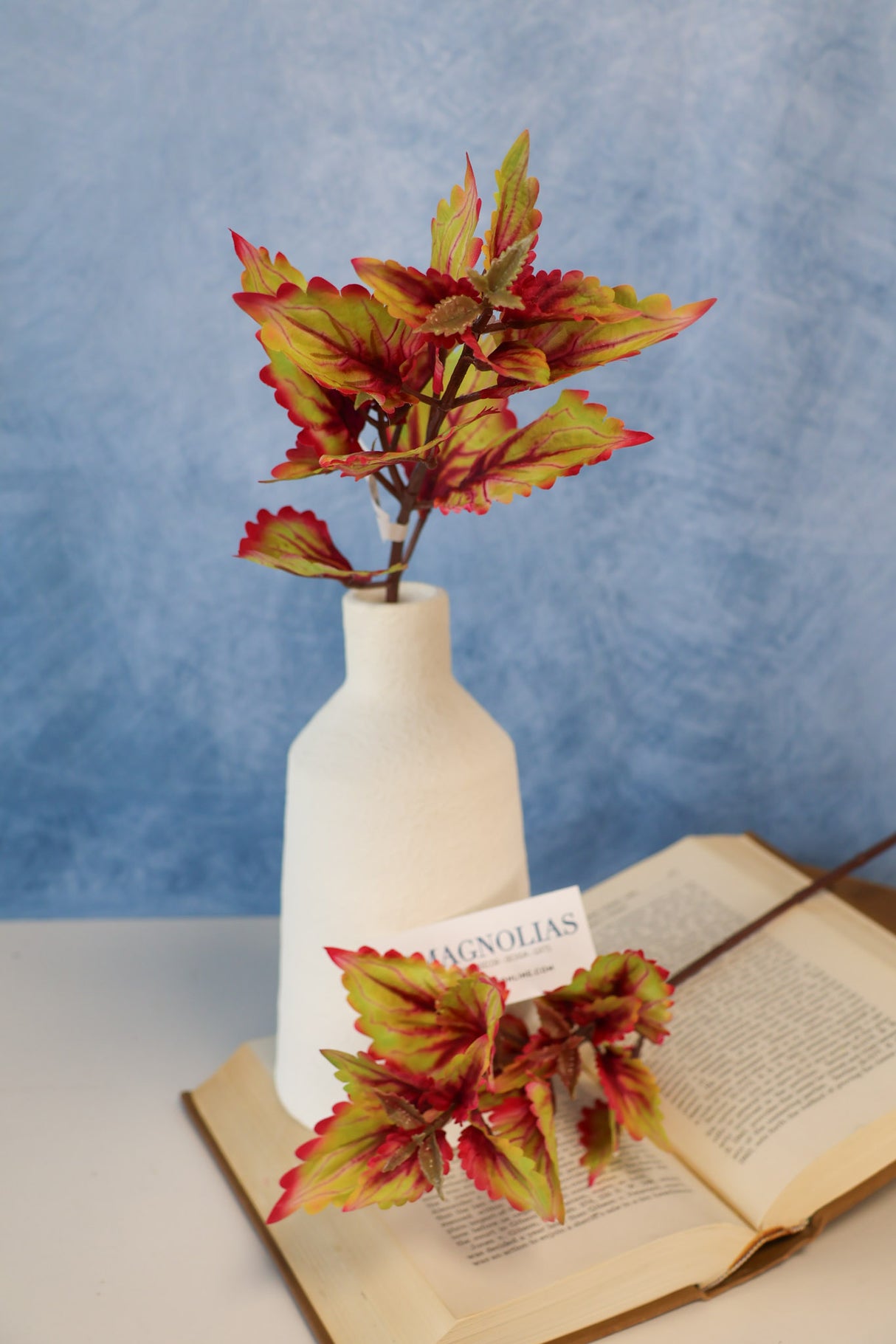 Hilo Autumn Coleus Pick