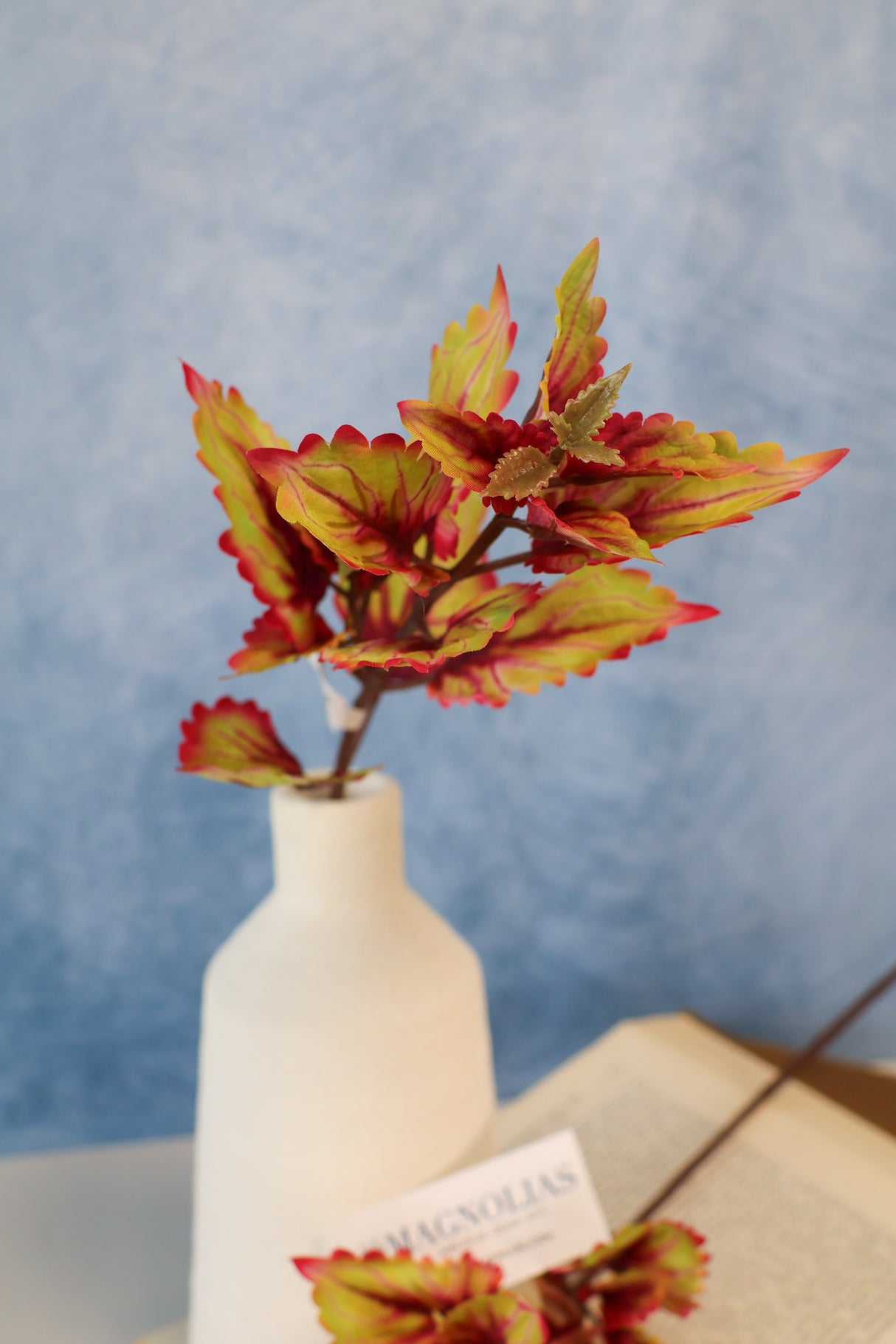 Hilo Autumn Coleus Pick