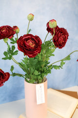 Burgundy Ranunculus Bush