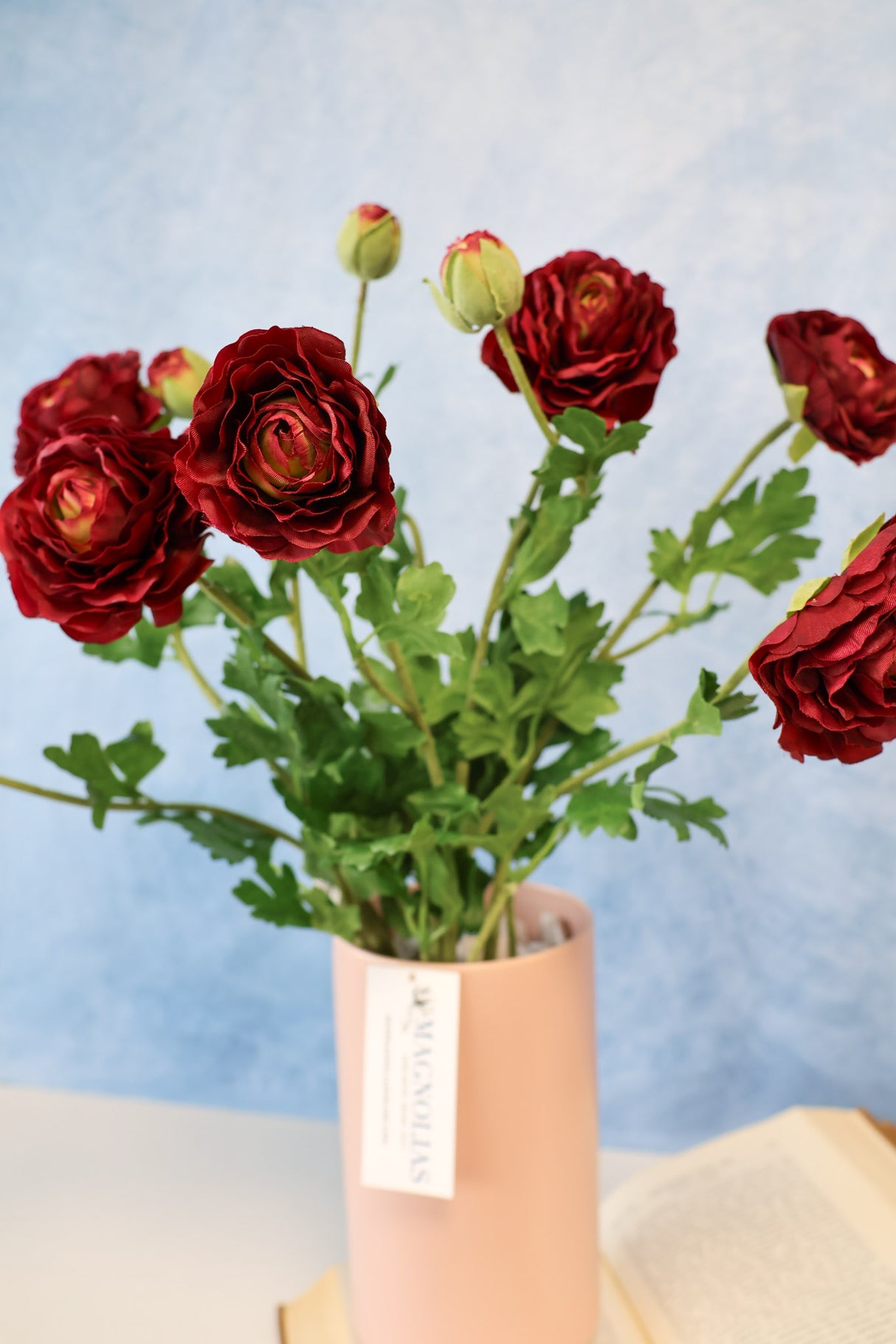 Burgundy Ranunculus Bush