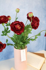 Burgundy Ranunculus Bush