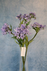 Lavender Agapanthus Spray