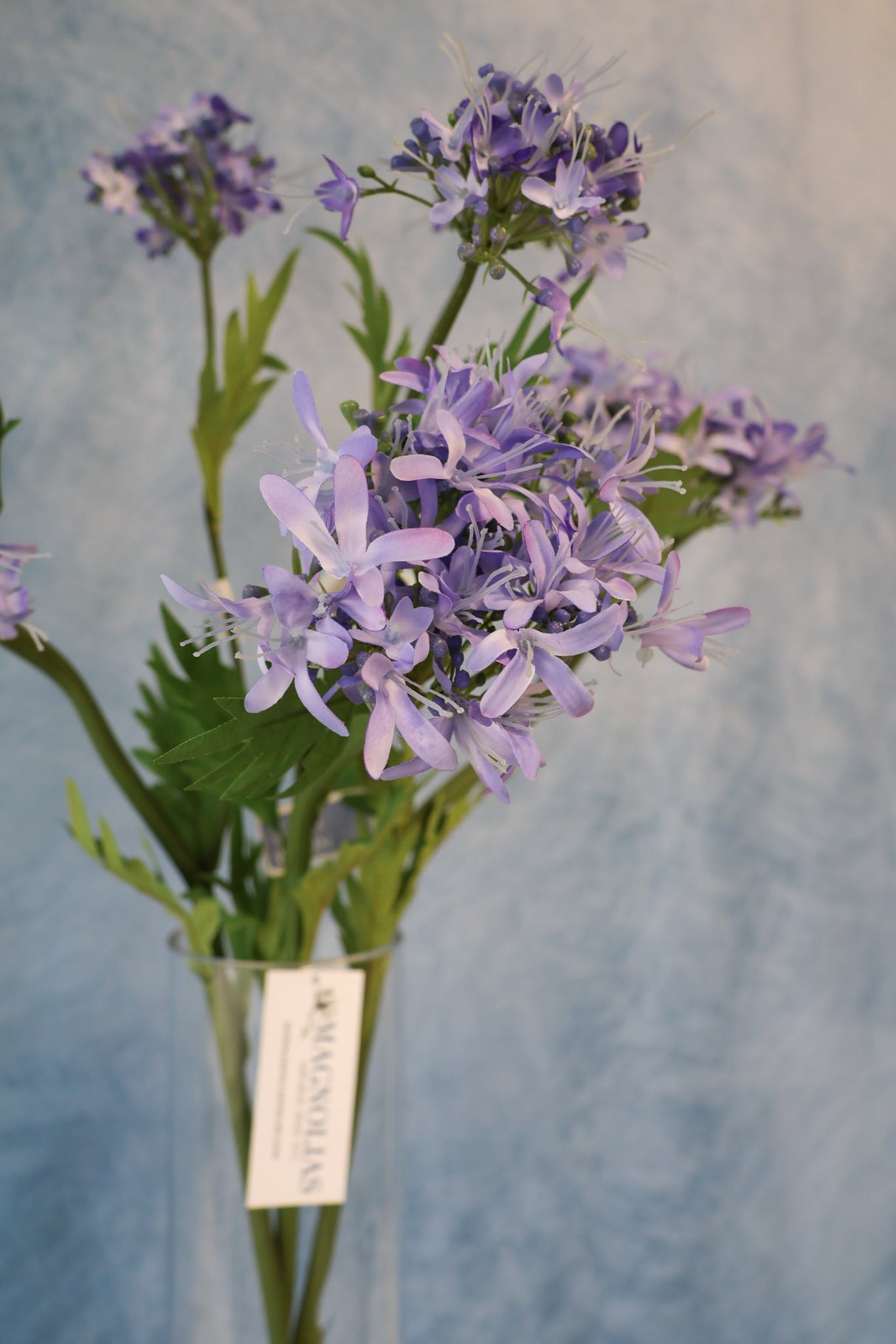 Lavender Agapanthus Spray