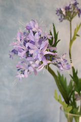 Lavender Agapanthus Spray