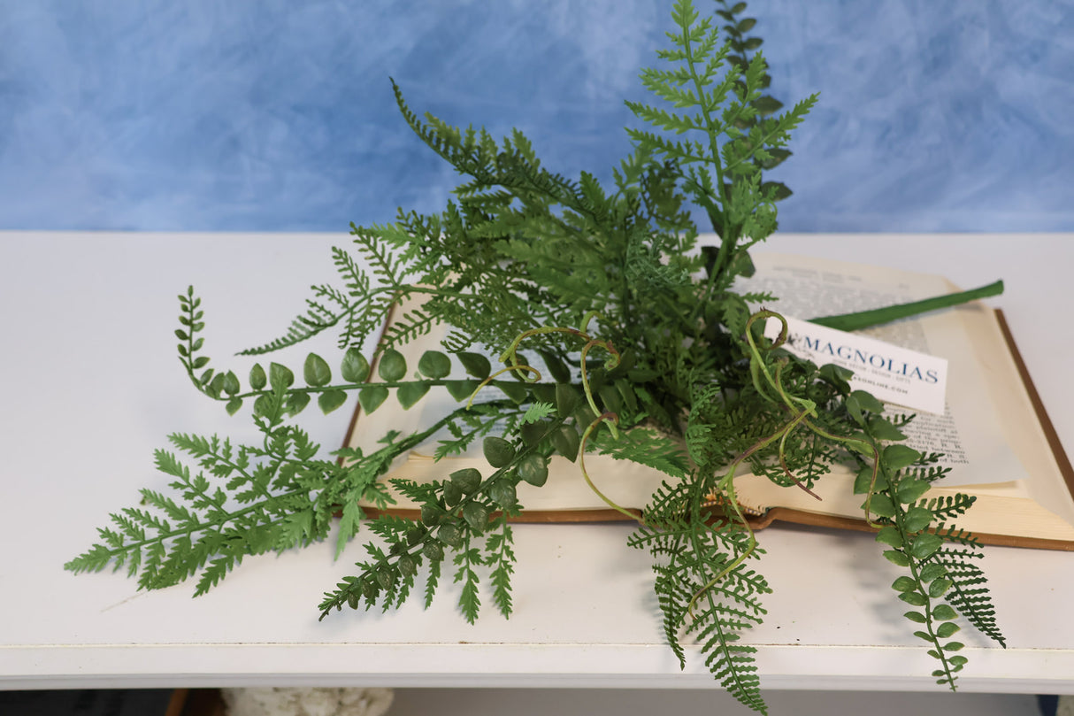 Charlottesville Mixed Fern Pick