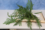 Charlottesville Mixed Fern Pick