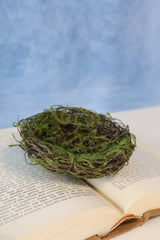 Moss Bird's Nest Accent