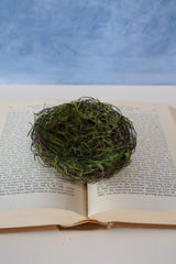 Moss Bird's Nest Accent