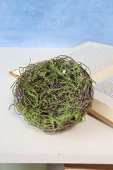 Moss Bird's Nest Accent