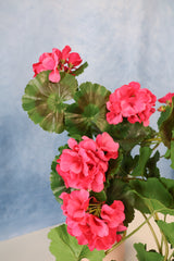 36" UV Protect Pink Real Touch Geranium