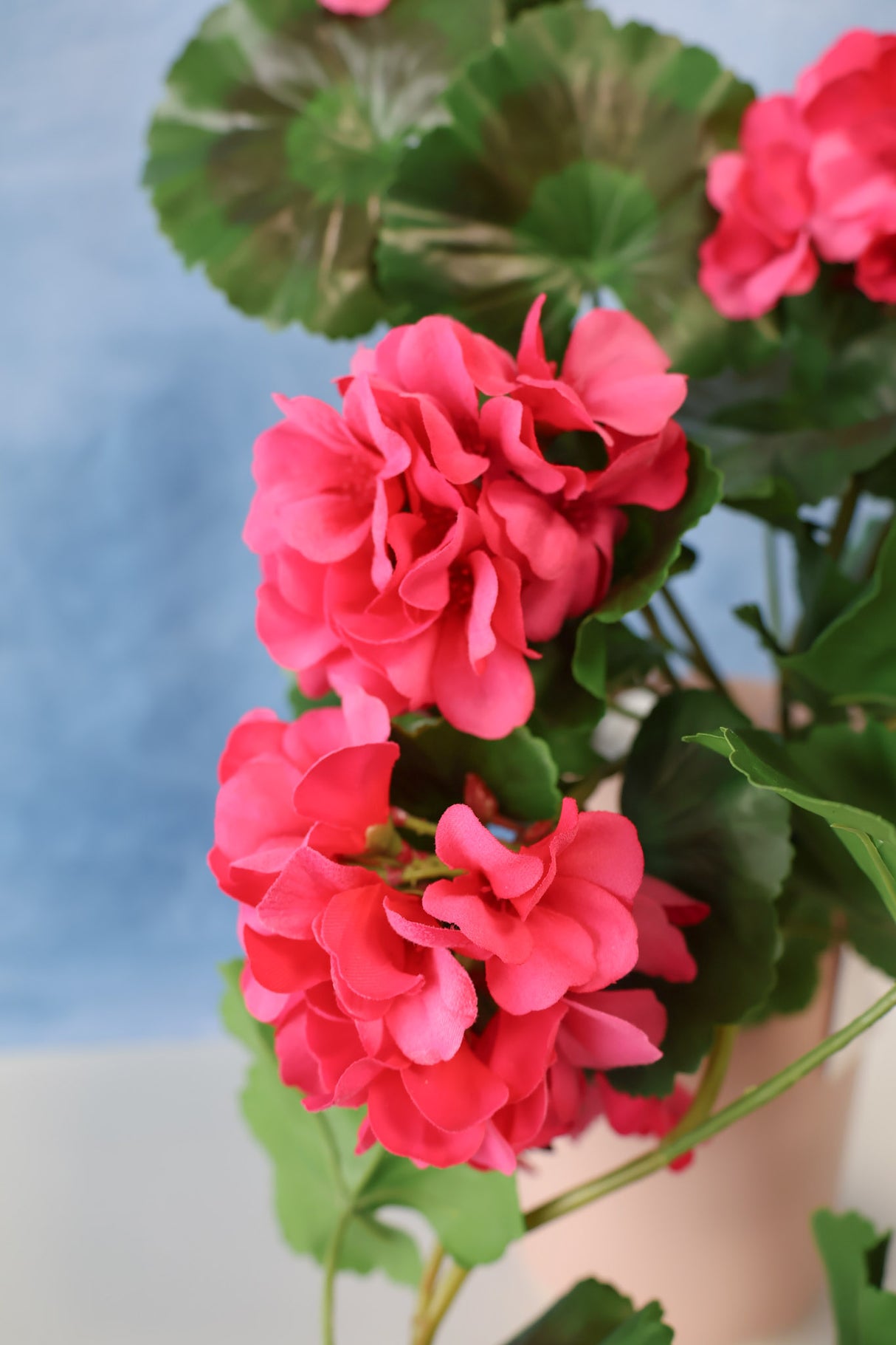 36" UV Protect Pink Real Touch Geranium