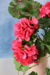 36" UV Protect Pink Real Touch Geranium