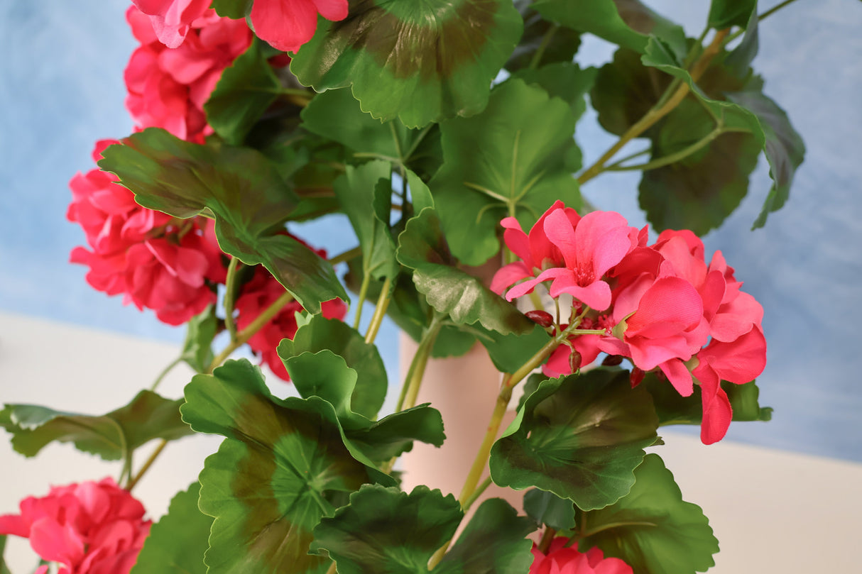 36" UV Protect Pink Real Touch Geranium