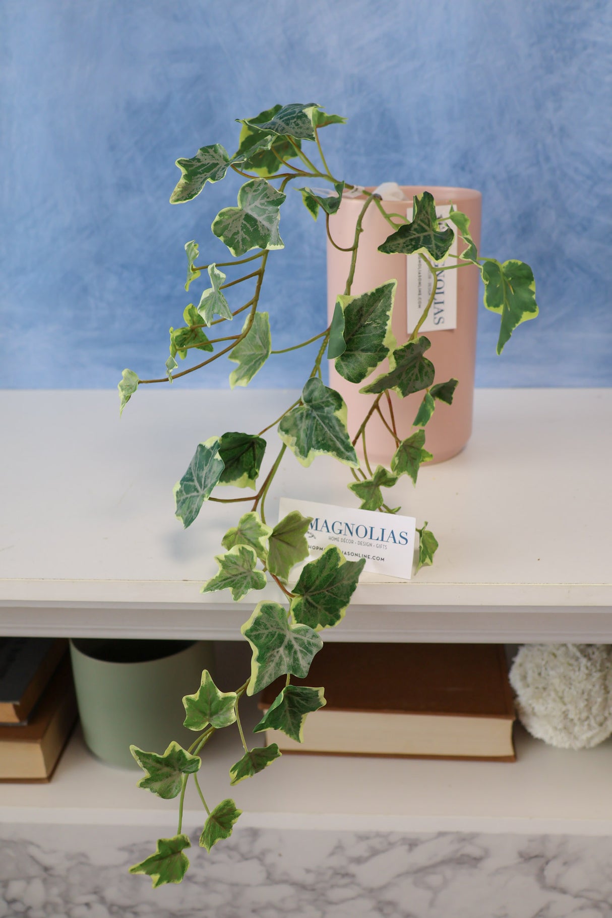 Variegated English Garden Ivy Spray