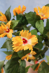 UV Protect Orange Hanging Hibiscus Plant