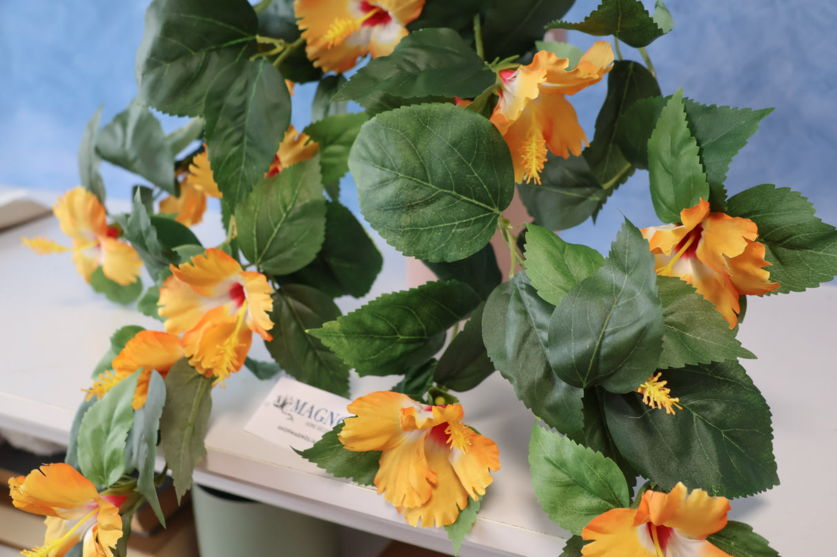 UV Protect Orange Hanging Hibiscus Plant