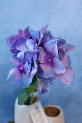 Blossom Purple Hydrangea Stem