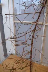 6' Woodland Branch Garland