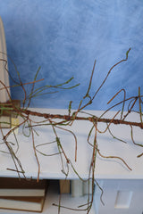 6' Woodland Branch Garland