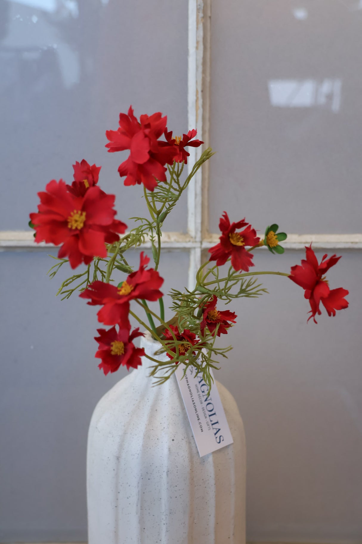 Red Cosmos Bundle