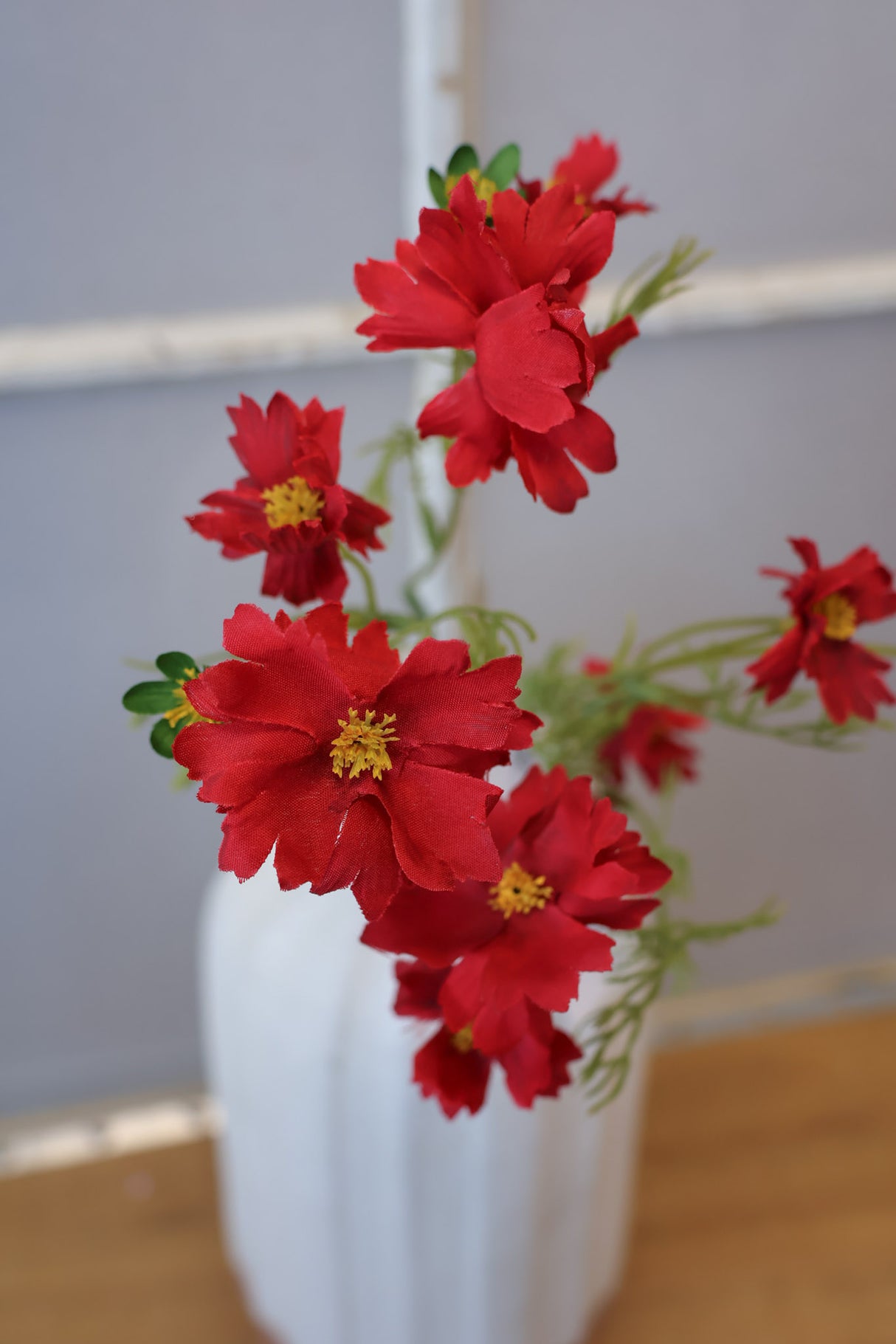 Red Cosmos Bundle