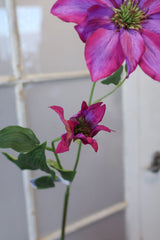 Orchid Clematis Spray