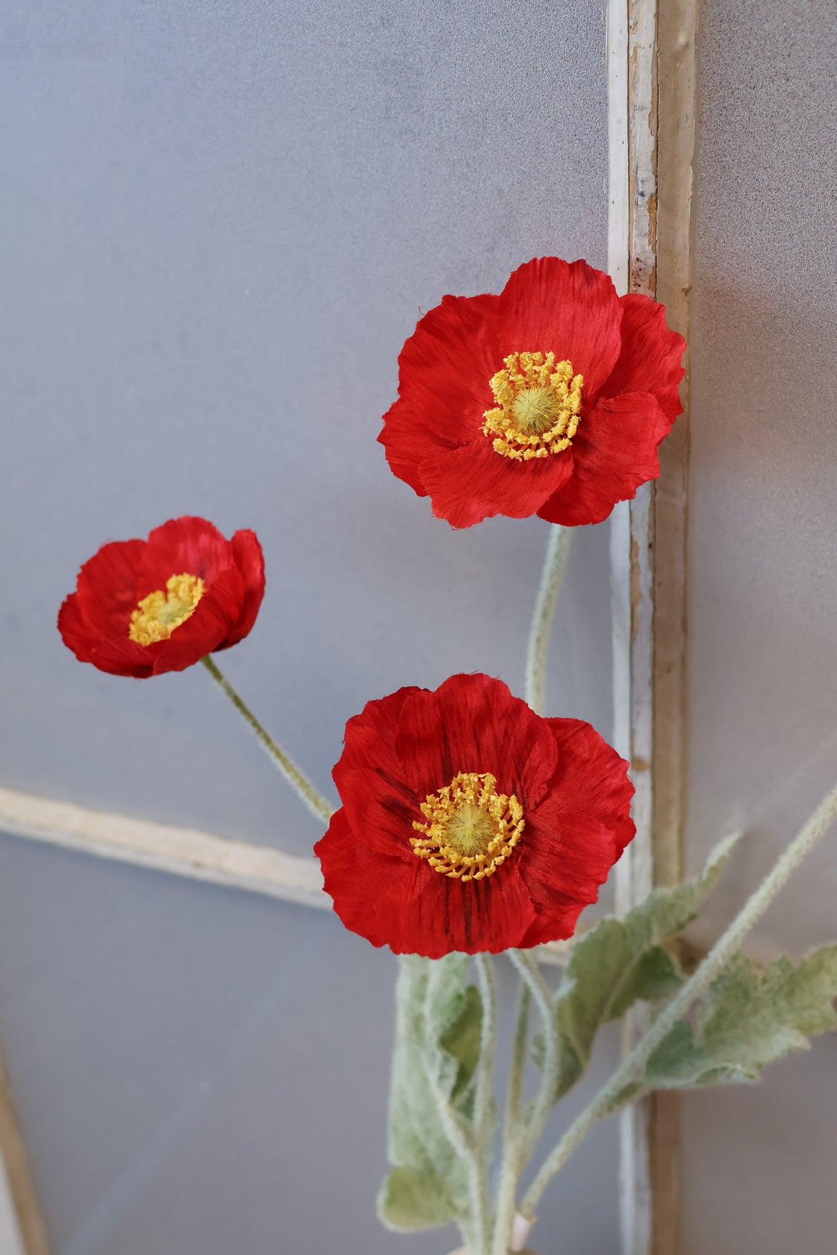 Red Poppy Spray