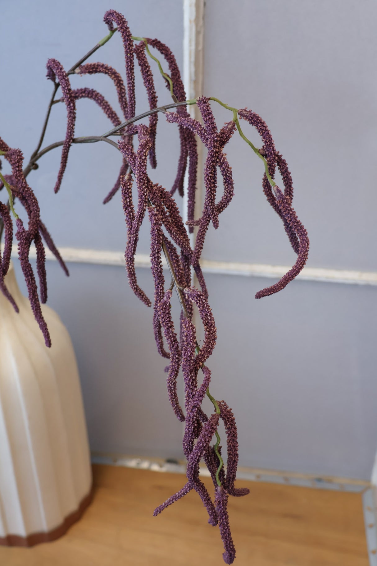 Purple Amaranthus Branch