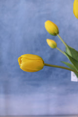 Yellow Spring Real Touch Tulip Bundle