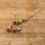 Red Garden Mum Spray