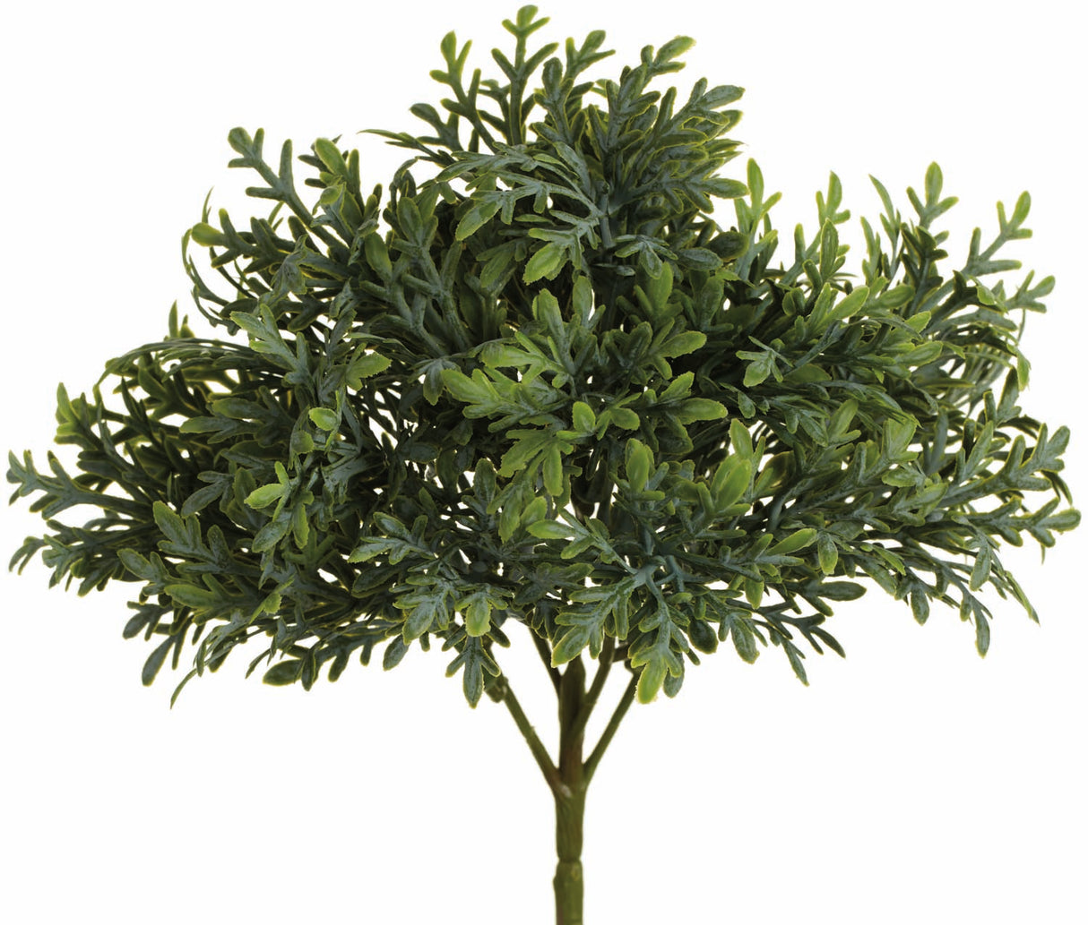 UV Protect Wormwood Bush