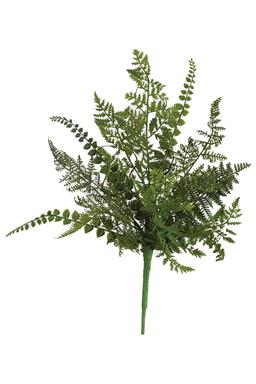 Charlottesville Mixed Fern Pick