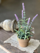 Lavender Flowering Sage Pot