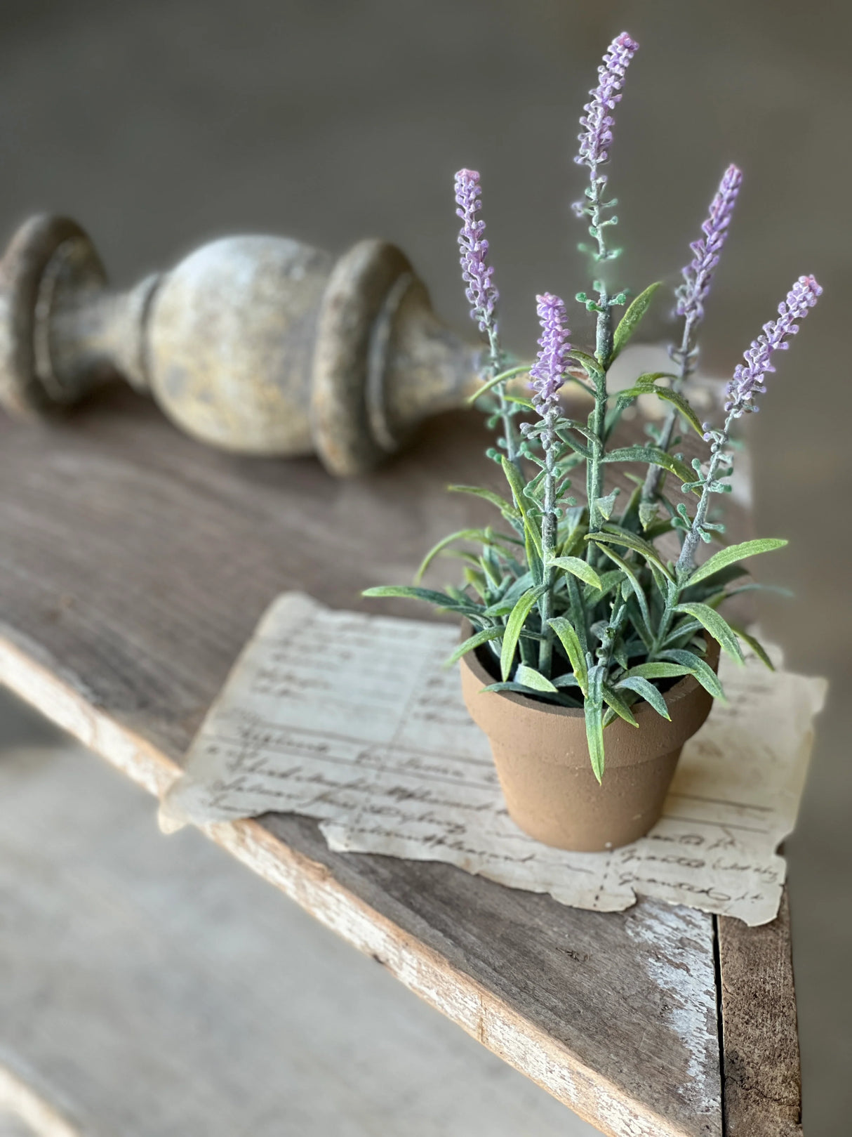 Lavender Flowering Sage Pot