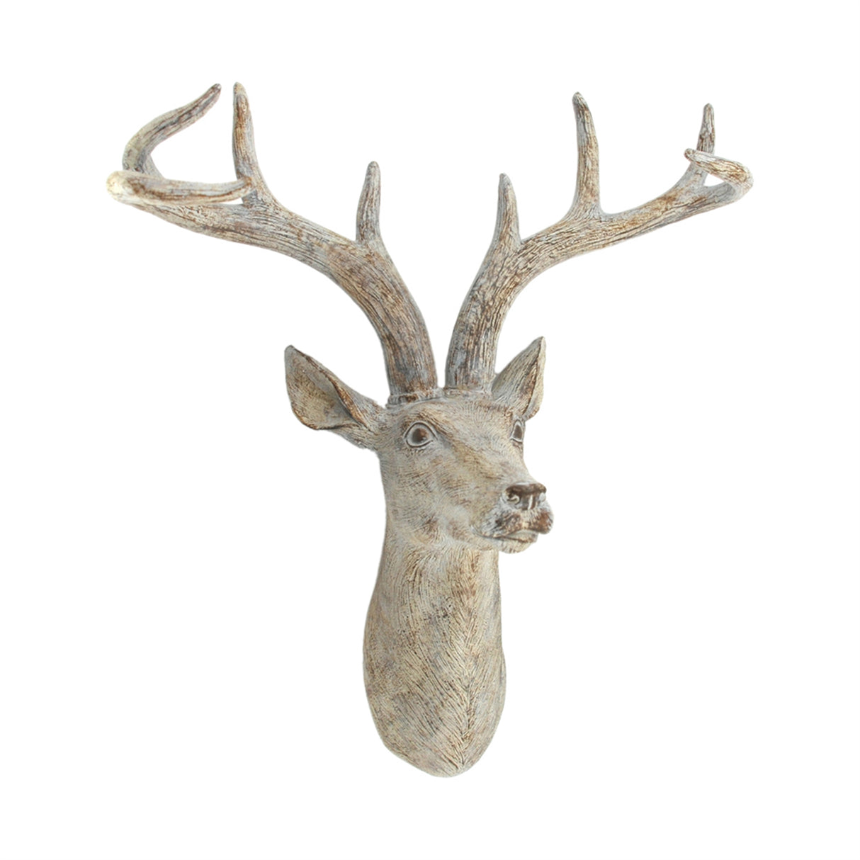 Resin Deer Head