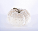 Speckled Beige Pumpkin